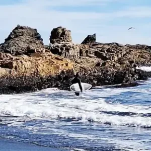 Pago Individual Grupos de 2 Pasajeros