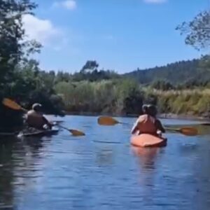 Kayac (Diurno o Nocturno)