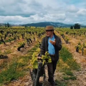 Ruta del Vino